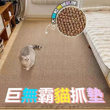 台灣公司出貨 24H 地墊 地毯 大地毯 大地墊 客廳地墊地毯 防水地墊地毯 貓抓板 防貓抓地墊 防貓抓地毯劍麻地墊