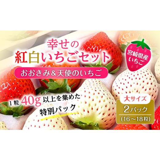 ふるさと納税 宮崎県 宮崎市 期間・数量限定 宮崎県産 イチゴ 幸せの紅白いちごセット おおきみ天使のいちご 大サイズ2パック(16粒〜18粒程度)_M260-010