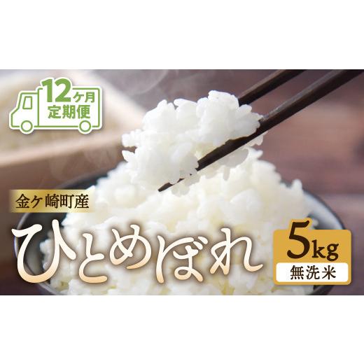 ふるさと納税 岩手県 金ケ崎町  毎月 5kg お届け 精米 金ケ崎町産 お米 自宅 炊飯 お弁当 袋 岩手県 金ケ崎町 いわて …