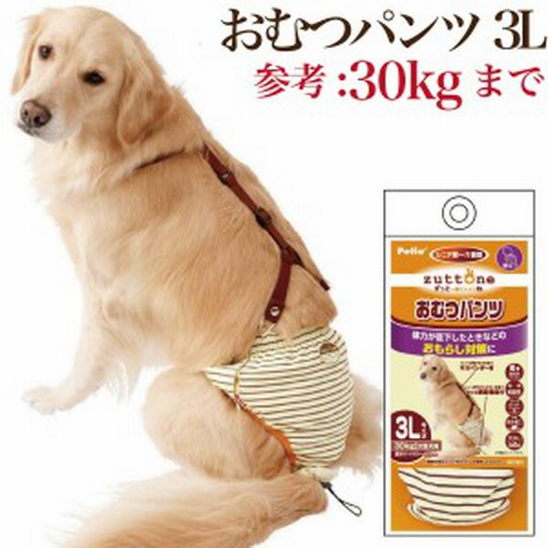 犬用 おむつパンツ 3l サスペンダー 付き 老犬介護 生理 サニタリーパンツ カバー 通販 Lineポイント最大1 0 Get Lineショッピング