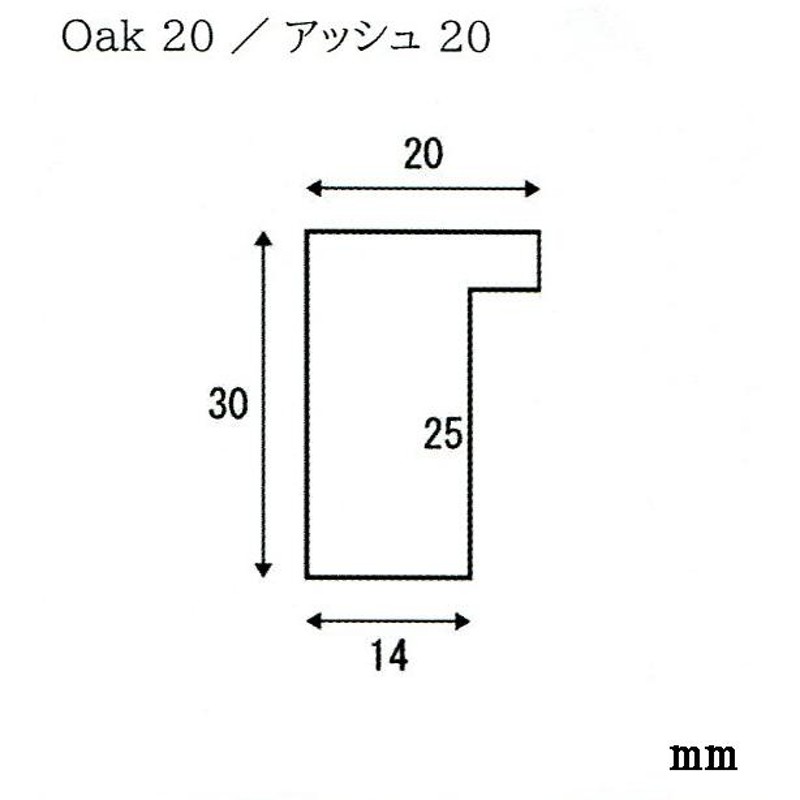 アッシュ20 ＭＯ全紙