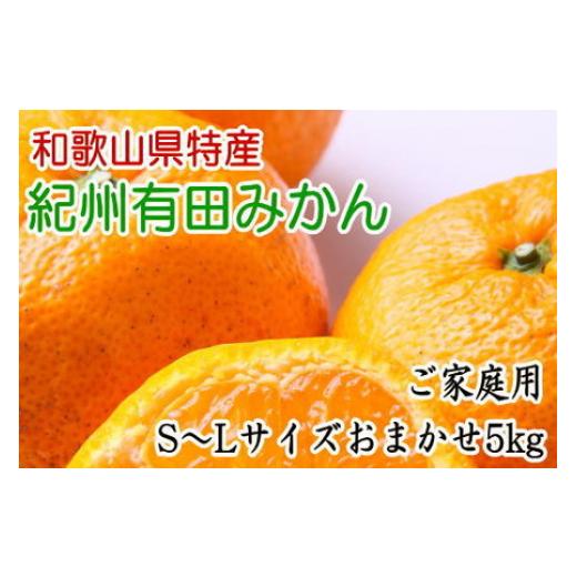 ふるさと納税 和歌山県 美浜町 和歌山有田みかんご家庭用5kg (S〜Lサイズおまかせ) ※2023年11月中旬〜2024年1月中旬頃に順次発送予定 ふるさと納税 ミカン