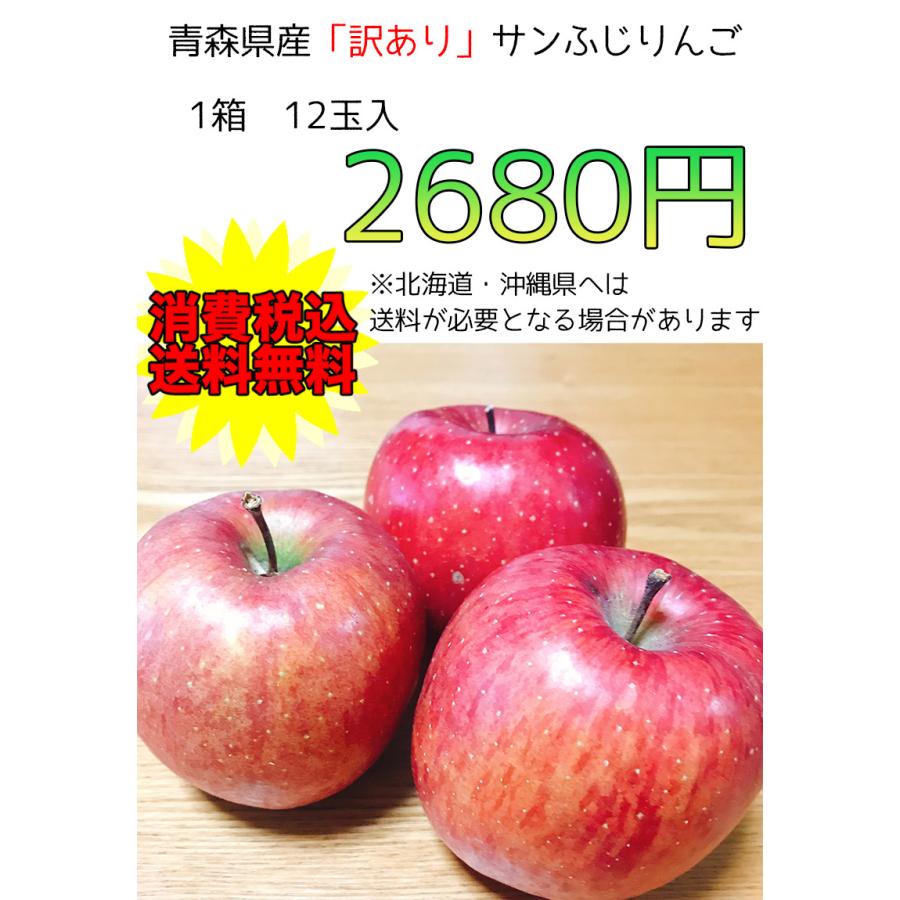 りんご サンふじ 訳あり 12玉入 お試し 送料無料 りんご 青森 サンふじ りんご 12玉入 ご家庭用 糖度保証 予約 11月上旬頃発送