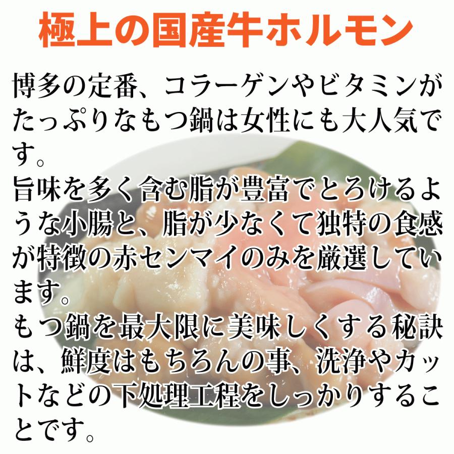 もつ鍋 セット 3〜4人前 あごだし 味噌 400g 国産ホルモン 美味しい モツ鍋 人気 お取り寄せグルメ プレゼント 独楽 贈り物 国産牛もつ 福岡 博多