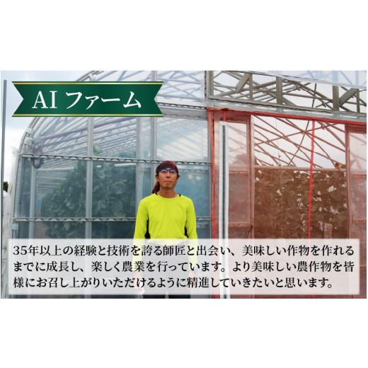 ふるさと納税 福井県 あわら市 秋 アールスメロン 2玉（約1.7kg以上×2玉）青肉品種 高級メロン！ ／ マスクメロン 大玉 果物 フルーツ ギフト 農…