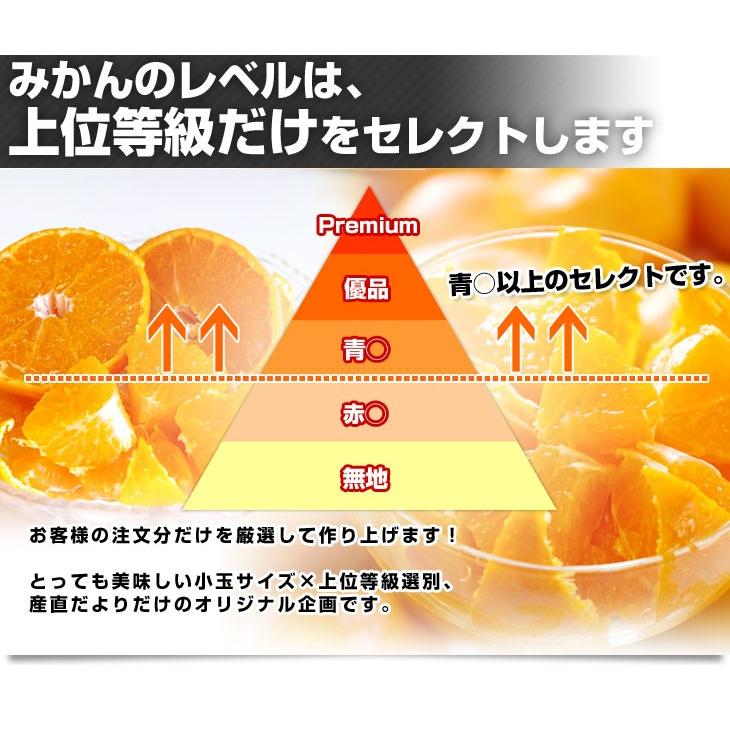 愛媛県より産地直送 JAにしうわ 日の丸みかん 千両 極旨小玉サイズ 5キロ（60玉から80玉） 蜜柑 ミカン  送料無料