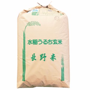  新米 特別栽培米 玄米 令和5年産 長野県南信州産 コシヒカリ １等 玄米 30kg (白米 無洗米加