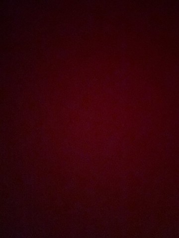 【Pinkoi 線下活動預購商品】向日葵花花 T-shirt