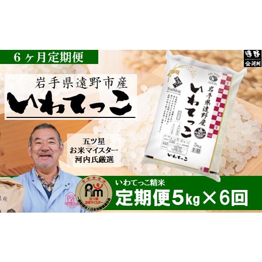 ふるさと納税 岩手県 遠野市 遠野産 「 いわてっこ 」 5kg