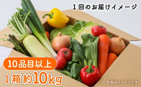 地元の農家さんが収穫した旬のお野菜 詰め合わせセット 地元の農家さんが収穫した旬のお野菜 詰め合わせセット 野菜定期便 野菜詰め合わせ   南島原市    ミナサポ[SCW047]