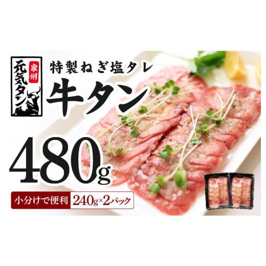 ふるさと納税 大阪府 泉佐野市 ねぎ塩 牛たん 480g（240g×2）焼肉用 薄切り 訳あり サイズ不揃い