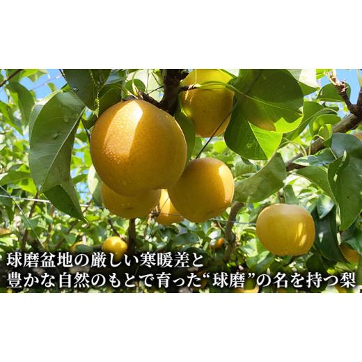 ふるさと納税 熊本県 錦町 梨 錦産 旬の梨 5kg 約11〜15玉前後 2024年発送 幸水 豊水 あきづき 新高 新興 錦産 梨桃工房 なし フルーツ 果物 デザート 秋月