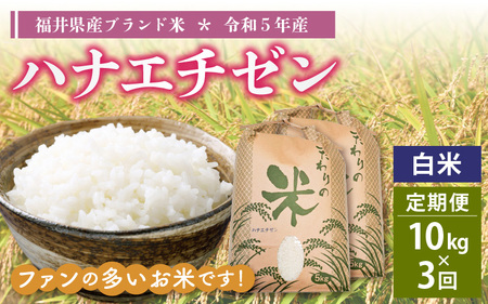 定期便≪3ヶ月連続お届け≫ハナエチゼン 10kg × 3回 令和5年 福井県産 [e30-c010]