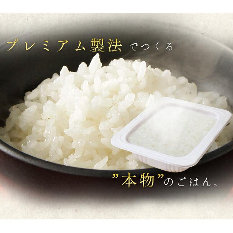 パックご飯 レトルトご飯 米 ごはん パック ごはんパック レンジ 180g 6食 セット あきたこまち 非常食 保存食 新生活