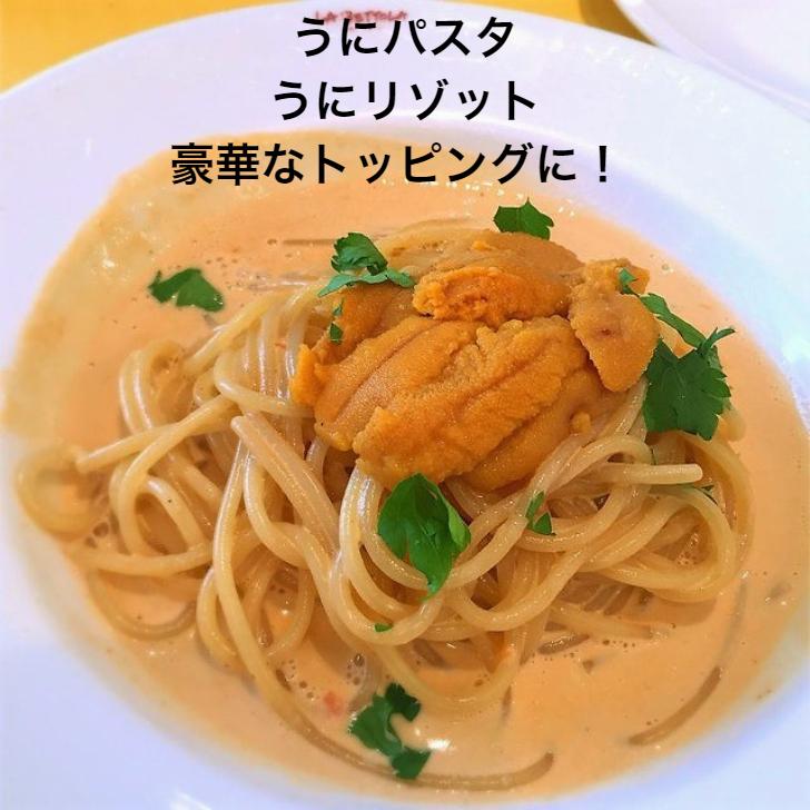 寿司 無添加 うに 100ｇ ブランチ ミョウバン未使用 海鮮丼 手巻き寿司 おつまみ  うに ウニ 雲丹 うに冷凍　手巻き寿司