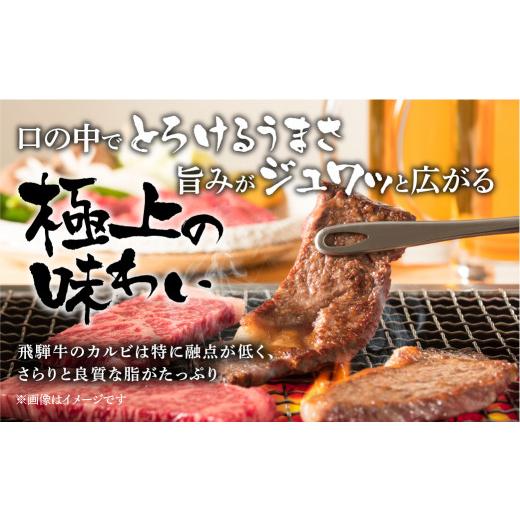 ふるさと納税 岐阜県 白川村 最高級 飛騨牛カルビ焼肉用 900g A4 A5 等級 白川郷 てんから[S175]