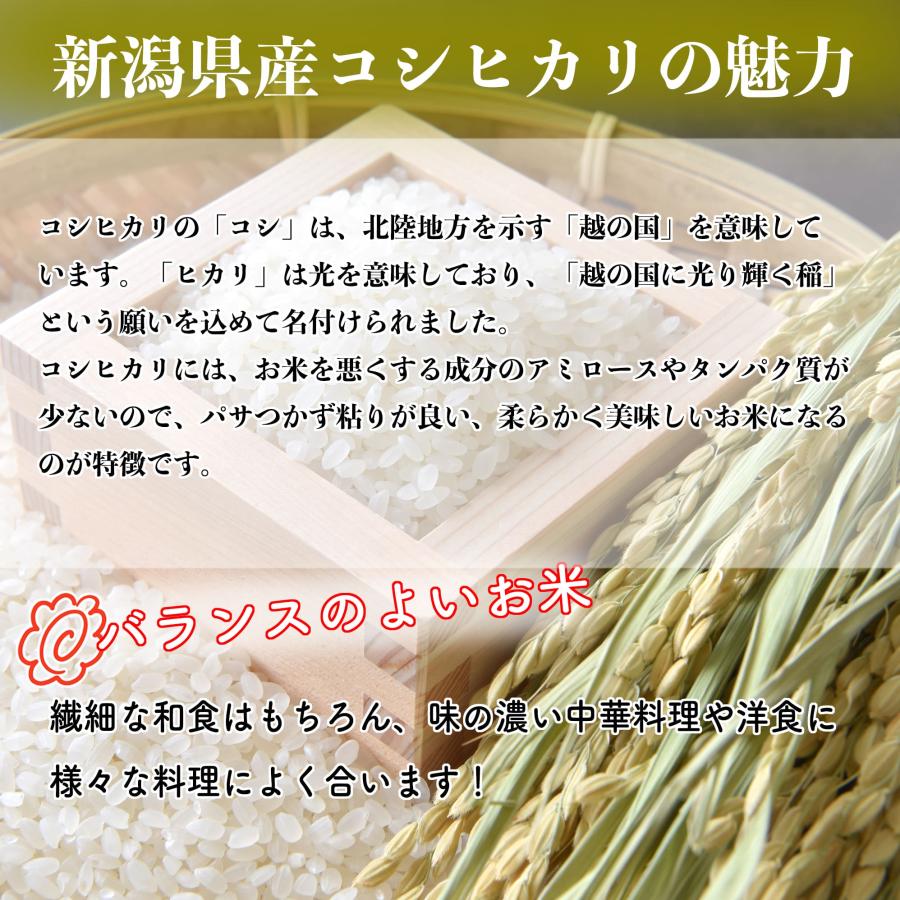 新米 米 お米 5kg 新潟県産 こしひかり 白米 5キロ 令和4年産 5kg×1袋 精米