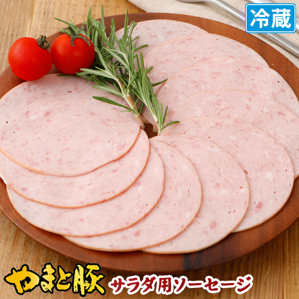 やまと豚 サラダ用ソーセージ 90g [冷蔵] ソーセージ ボロニアソーセージ お取り寄せグルメ ギフト 肉 お肉 おつまみ 食べ物 食品 取り寄せ スライス