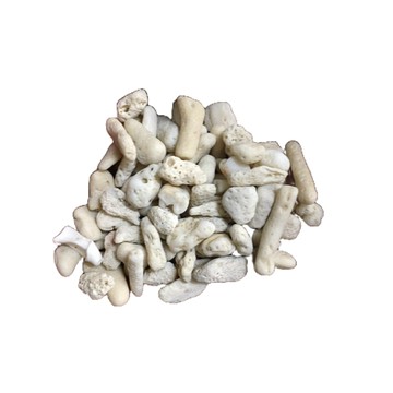 天然珊瑚骨 珊瑚砂 珊瑚石 魚缸貝殼砂 魚缸造景 魚缸底砂 花盆擺飾 花圃園藝 水族用品 水族設備