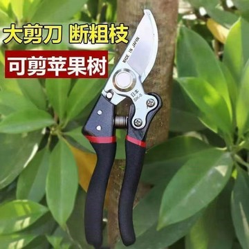 📣爆款推薦📣【30天熱銷1762件】大剪子大號強力修枝剪貴的剪樹枝剪子花木園藝剪 A7B4
