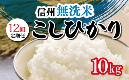  信州米 こしひかり 無洗米 10kg 長野県産 新米 令和5年産 米 こめ 銘柄 単一米