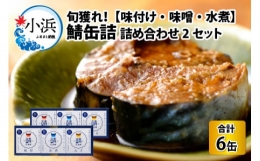 旬獲れ 鯖缶詰　3ヶ詰め合わせ(味付・味噌・水煮)×2セット