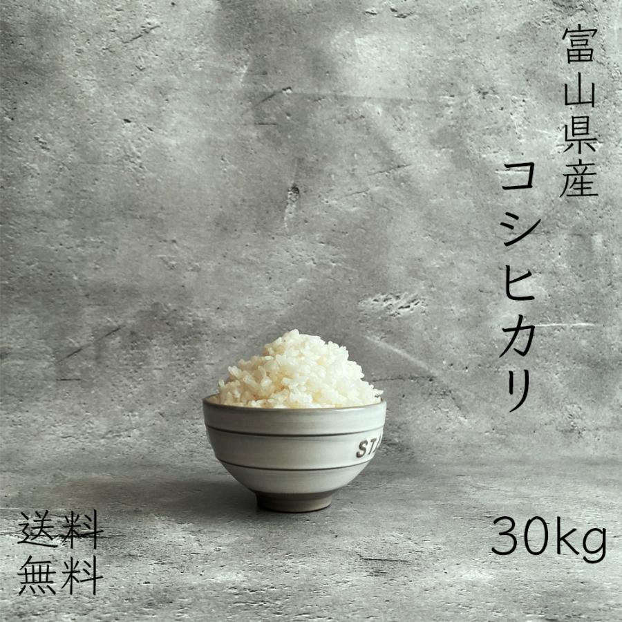 新米 米 30kg お米 玄米（5kg×真空パック6袋） コシヒカリ 富山県産 令和5年産 精米無料 真空パック無料 送料無料