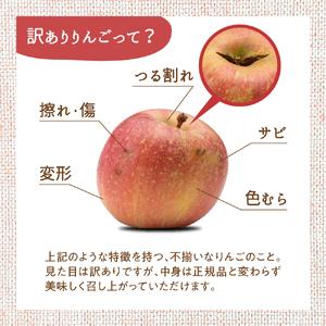 ふるさと納税  りんご 10kg 紅玉 アップルパイ に最適 青森 不揃い 青森県五所川原市