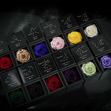快速出貨🚀收禮人自選星座❤️【CNFlower】星座恆星花 十二星座 永生花 生日快樂 升級皮革外盒質感送禮更加分