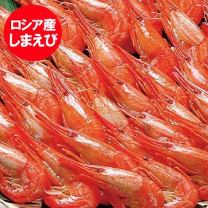 しまえび 送料無料 縞エビ ボイル えび しまエビ Sサイズ 1kg 500g×2 えび 海老 エビ