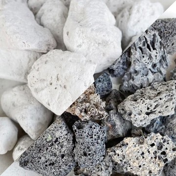 【荳荳多肉】【火山岩(大粒)】喬遷│送禮│升遷│多肉植物