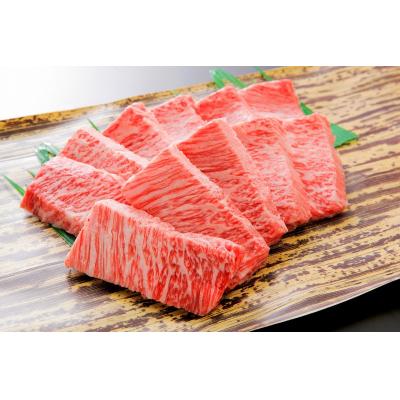 ふるさと納税 鳥取市 鳥取和牛上カルビ 焼肉用(A5〜A4ランク)