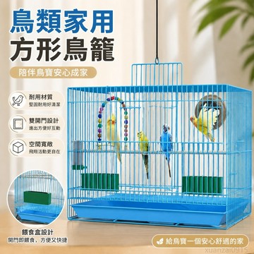 鳥籠子家用虎皮玄鳳牡丹鸚鵡鳥籠八哥鴿子籠超大方形繁殖籠 出貨 白鐵鳥籠 不鏽鋼鳥籠 鸚鵡籠子 鸚鵡籠 虎皮鸚鵡鳥籠