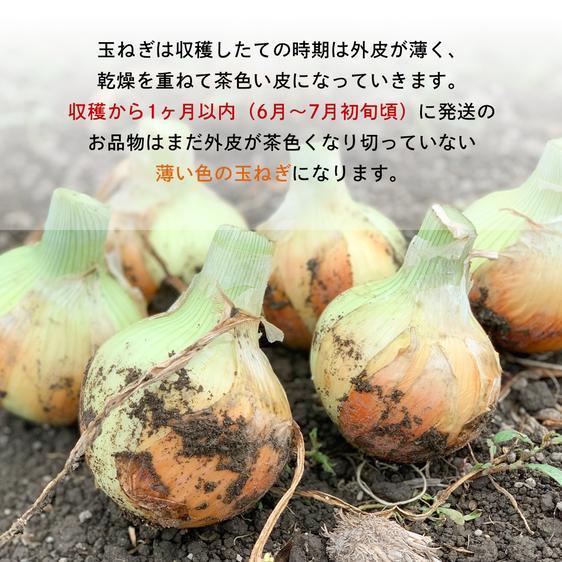 野菜 玉ねぎ あさひサンファームの淡路島たまねぎ特別栽培 産地直送