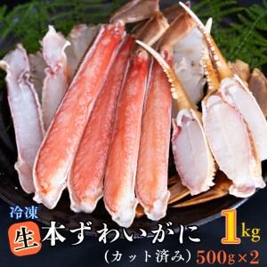 ふるさと納税 生冷 ずわいがに カット済み 1kg (500g × 2) カジマ ずわい蟹 ズワイガニ かに カニ 蟹 茨城県大洗町