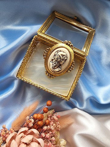 美國西洋古董飾品 / FLORENZA人造象牙法國仕女cameo胸針/別針Art