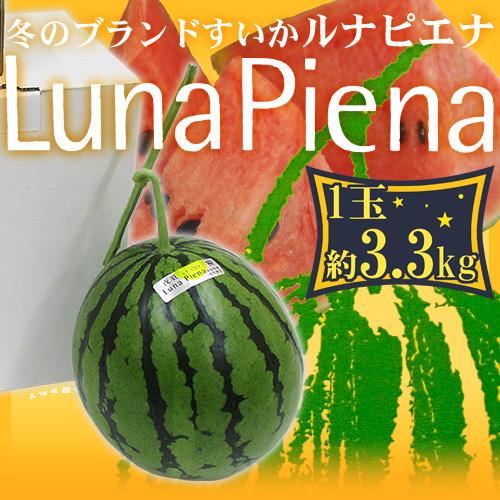 高知県夜須町 温室スイカ ”ルナピエナ” 大玉 約3.3kg 贈答用 送料無料