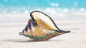 純手工玻璃工藝品 海螺 海洋動物琉璃擺件 玄關鑰匙收納盒 裝飾物