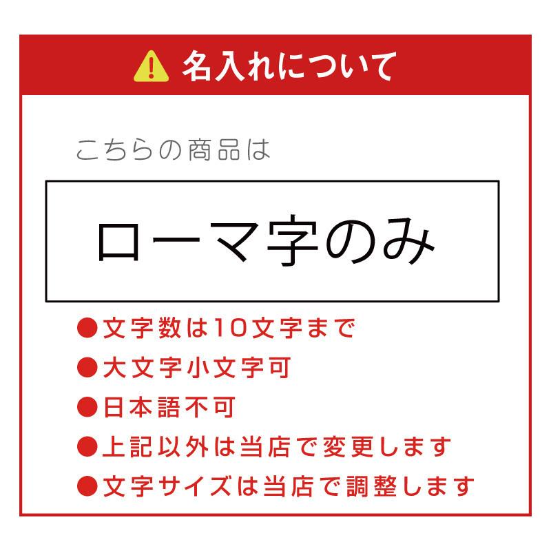 クリスマス シンプル 軽量 割れない 食器 丸型 トレー 収納袋付き キャンプ  名入れ アウトドア ステンレスプレート Mサイズ×2枚ペアセット