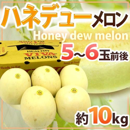 メロン ”ハネデューメロン” 5〜6玉前後 約10kg メキシコ・アメリカ産 他 送料無料