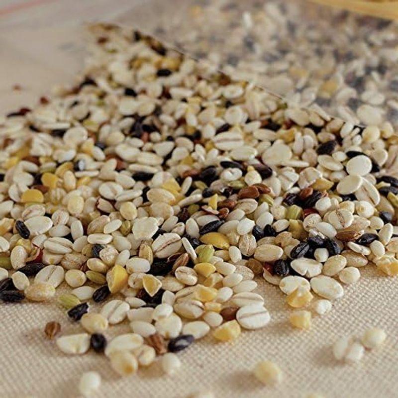 十穀米 270g (国産雑穀米)10種類のオリジナルブレンド 国内産100%
