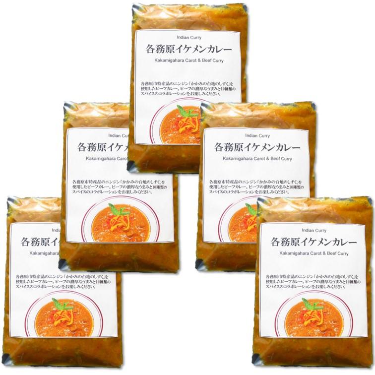 各務原イケメンカレー5袋セット（カレー200g 5袋）