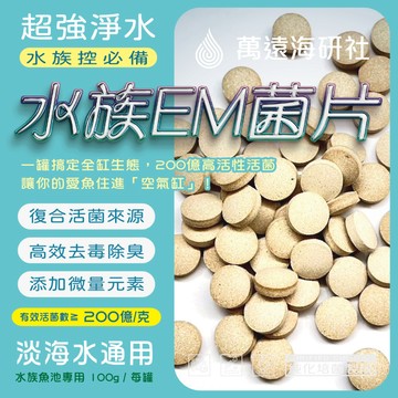 【水族專用 EM菌片】 100g / 罐 200億高活性 硝化菌 光合菌 多種微生物 分解魚便 淨化水質 抑制青苔