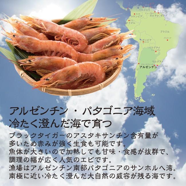 お歳暮 海鮮 BBQセット バーベキューセット 天然アルゼンチン 赤エビ 特大サイズ 10尾 生食可