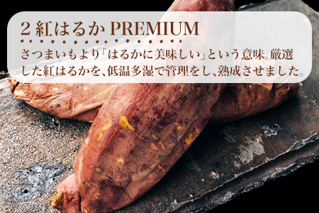 壺みついも 丸ごとセット(300g前後×3本) 壺炭焼き紅はるかPREMIUM 焼き芋 スイーツ やきいも さつまいも おやつ ギフト「2023年 令和5年」