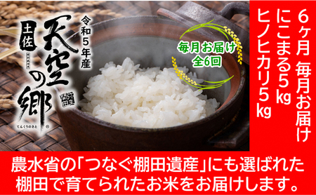 ★令和5年産★農林水産省の「つなぐ棚田遺産」に選ばれた棚田で育てられた 棚田米 土佐天空の郷 5kg食べくらべセット定期便 毎月お届け 全6回