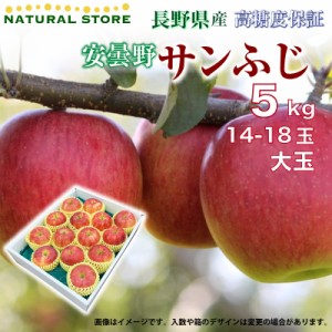 [予約 2023年11月1日-11月30日の納品] サンふじ 14-16玉 大玉 5kg 長野県産 安曇野 産地箱 りんご 冬ギフト お歳暮 御歳暮