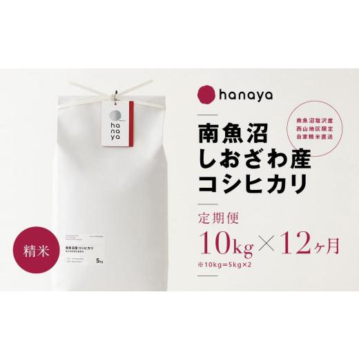 ふるさと納税 新潟県 南魚沼市 ＜定期便＞南魚沼しおざわ産コシヒカリ　従来品種　精米10ｋｇ(5kg×２)×全12回