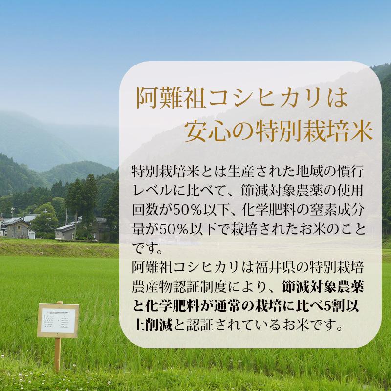 新米 米 コシヒカリ 5kg 福井県大野阿難祖産 白米 令和5年産 送料無料