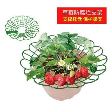 🔥臺灣出貨🔥草莓支架托架陽臺園藝種植圓形家庭家用拼接盆栽果實支撐架專用